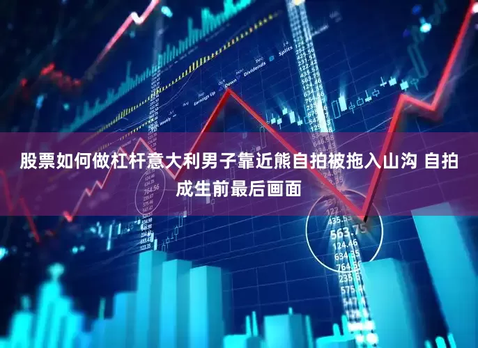 股票如何做杠杆意大利男子靠近熊自拍被拖入山沟 自拍成生前最后画面