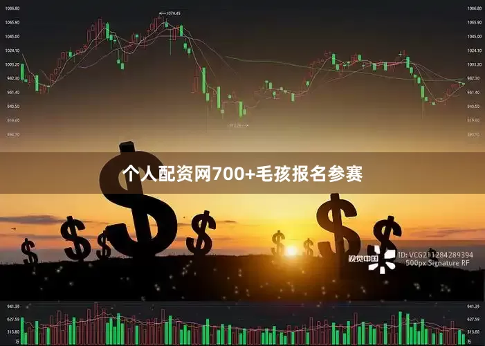 个人配资网700+毛孩报名参赛